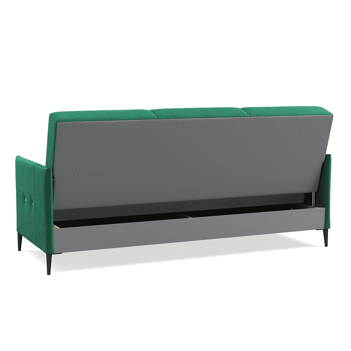 Belfor_green_black_04